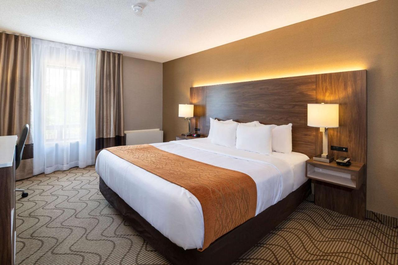 Comfort Inn Lakeshore Норт Бей Екстериор снимка
