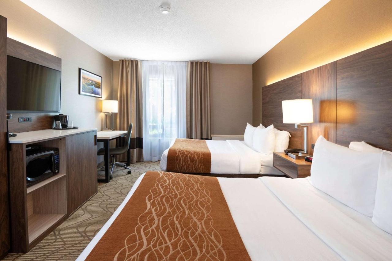 Comfort Inn Lakeshore Норт Бей Екстериор снимка