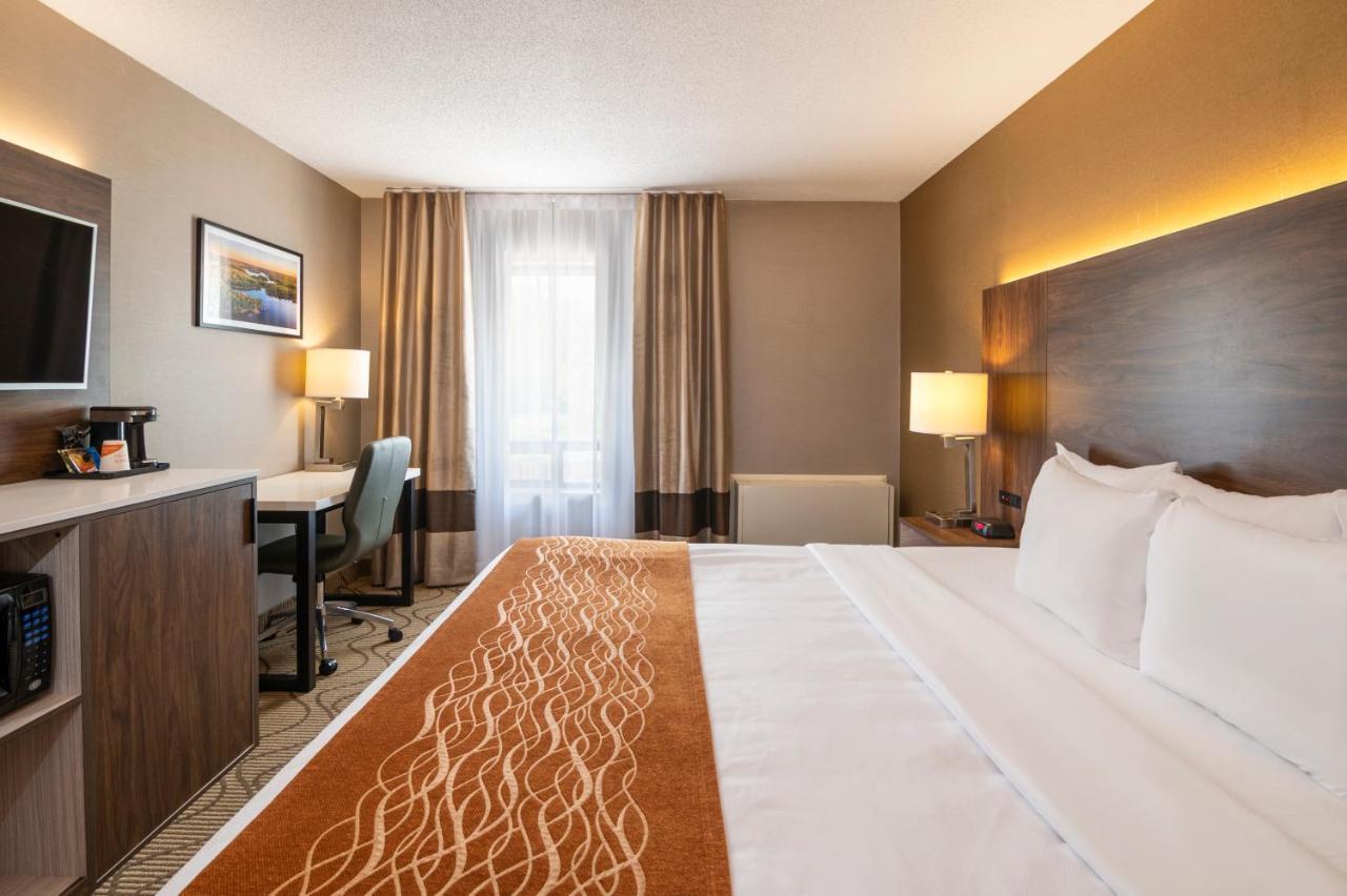 Comfort Inn Lakeshore Норт Бей Екстериор снимка
